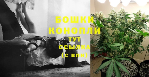 эйфоретик Богородицк