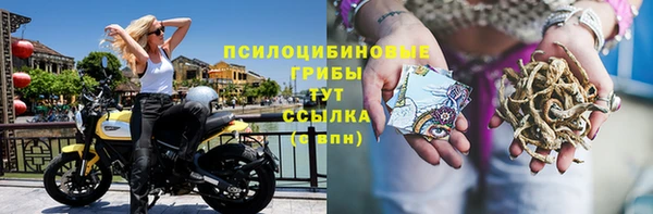 героин Богданович