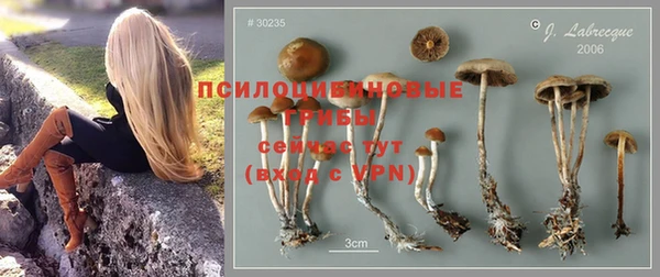 эйфоретик Богородицк