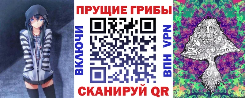 где можно купить наркотик Медвежьегорск Псилоцибиновые грибы мицелий
