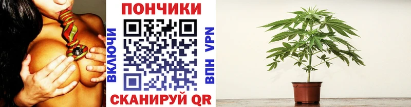 MEGA как войти  Медвежьегорск  Бошки Шишки VHQ 